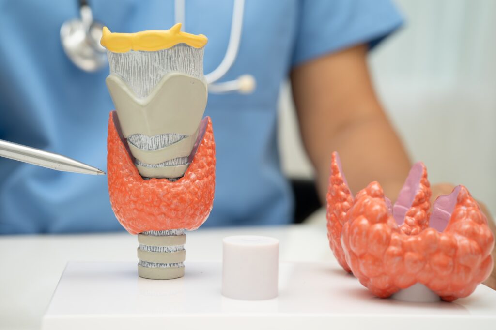Hyperthyroidism, Overactive Thyroid, Thyroid Lymphoma,